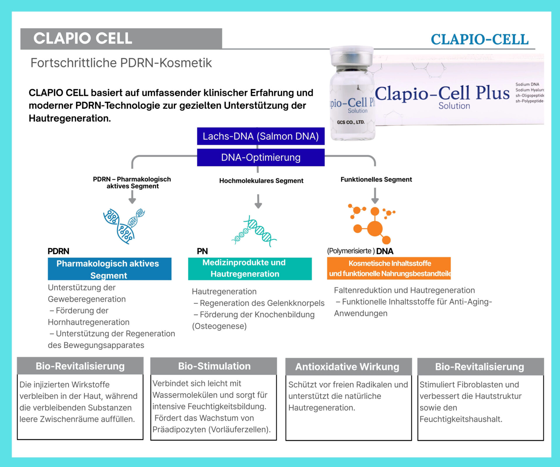 Clapio Cell Infografik zur PDRN-Technologie mit Lachs-DNA, DNA-Optimierung, PDRN, PN und polymerisierter DNA zur Unterstützung der Hautregeneration und Anti-Aging